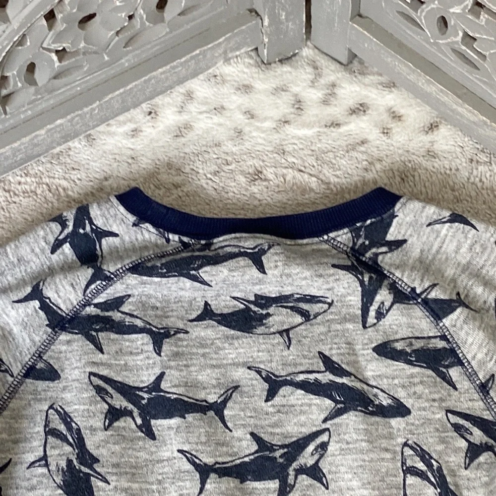 Gymboree gray sweat